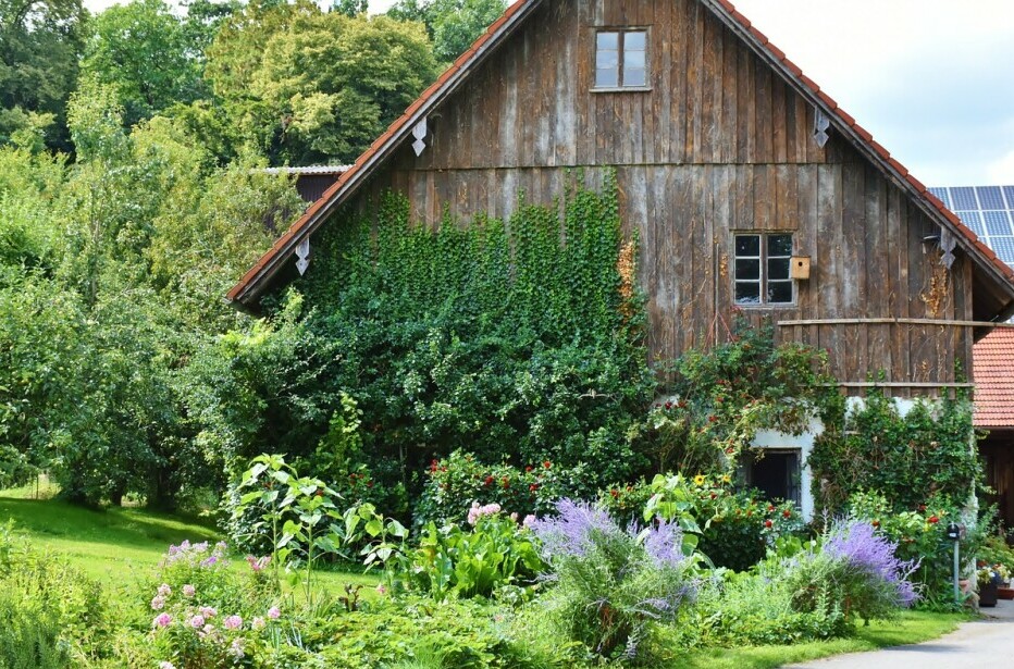 a homestead