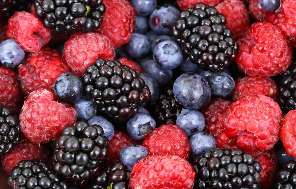 assortment of raspberries, blueberries and blackberries