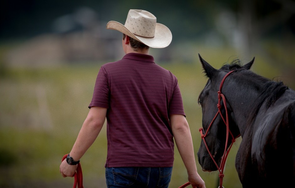 man leading a horse